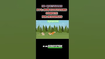 PT 3: 3-D Questions from STEAMspirations: How Ecosystems Compete for Resources 🌳🦁