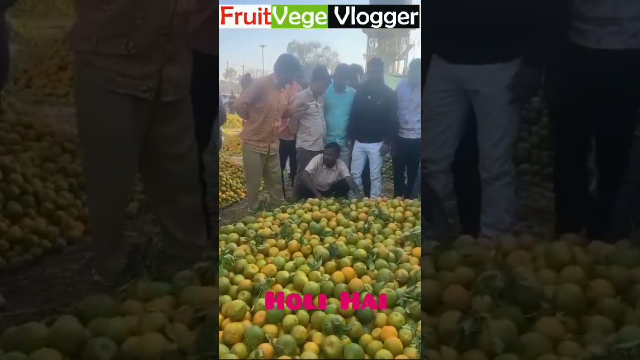 Bhawani mandi live Santana Auction #fruit #agriculture #facts 🍊 @delhifruitmarket