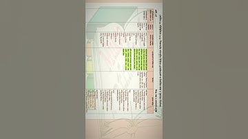 assignment class 6 17th week #MuktoPathshala #মুক্তপাঠশালা