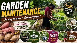 Garden Maintenance 🌱 | Planting Sprouted Potatoes, Compost Update &amp; Pollinator Garden