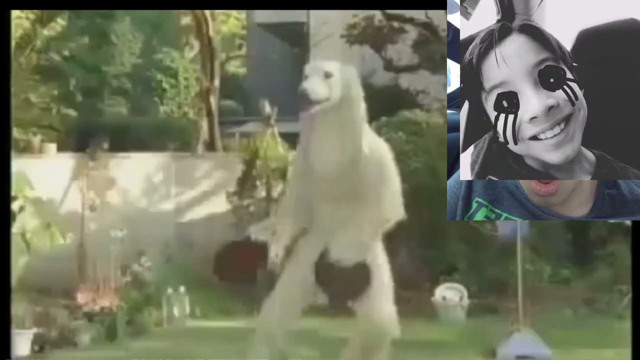 consomé panchi reacción