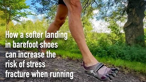 How a softer landing in barefoot shoes can increase the risk of stress fracture when running