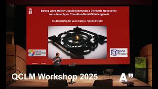 Strong light-matter coupling between a dielectric nanocavity and  a TMD-  Nicolas Stenger