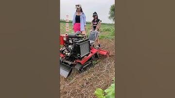 Micro tillage machine manufacturer 40 horsepower double-cylinder micro-tiller #agricultural#shorts