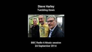 Steve Harley - Live session (BBC Radio 6 Music) 2014