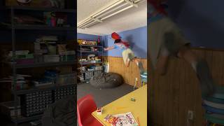 I Thought I Could Fly
