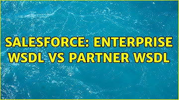 Salesforce: Enterprise wsdl vs partner wsdl