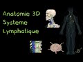 Description anatomique 3d du systme lymphatique naturosoutien