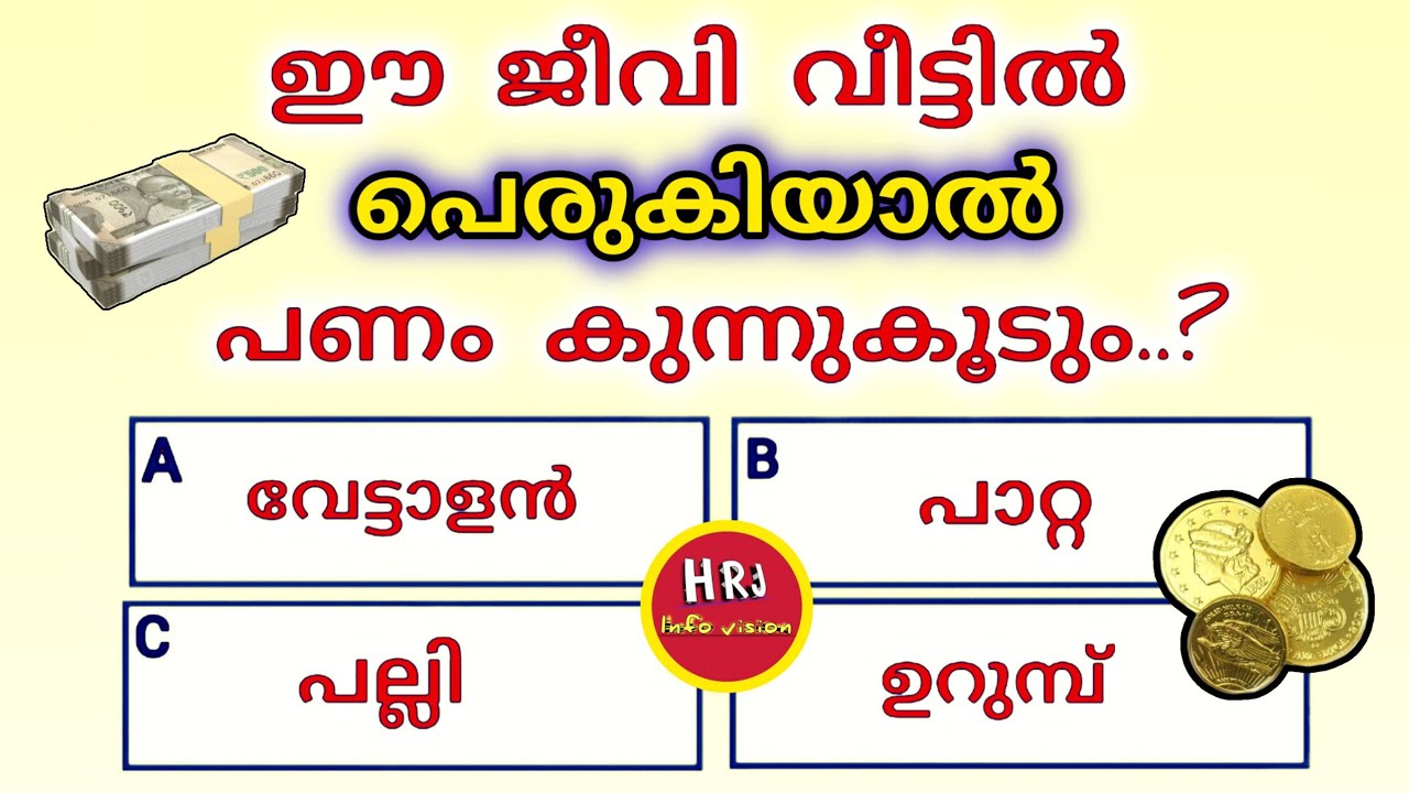 General knowledge | Quiz | Current Affairs | PSC | Episode 345 | വീട്ടിൽ പെരുകിയാൽ  💴👍👍 ..? 