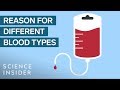 Why You Can't Mix Blood Types
