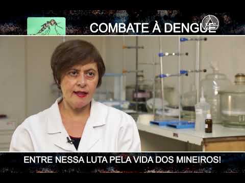 minas gerais aeropuerto Combate à dengue - Sintomas e Agravamento