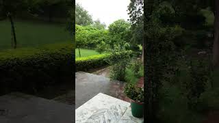 monsoon season in International Islamic University Islamabad #cover #music #iiui #islamabad #iiu