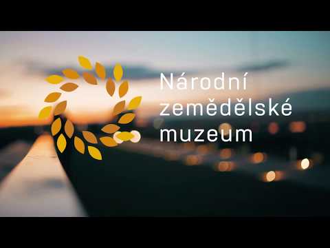 Užijte si večerní Prahu ze střechy muzea