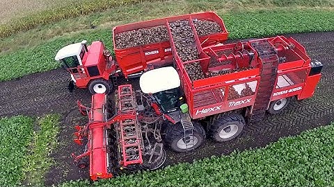 12 row Sugarbeet harvesting | Rovers Boekel l Holmer / Agrifac Hexx Traxx 12 | Gilles overlaadwagen