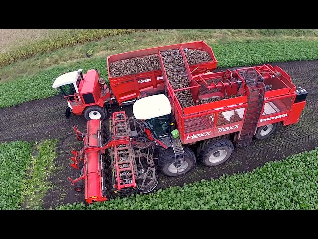 12 row Sugarbeet harvesting | Rovers Boekel l Holmer / Agrifac Hexx Traxx 12 | Gilles overlaadwagen class=