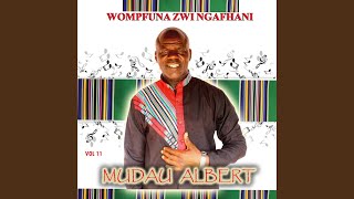 Wo mpfuna zwingafha