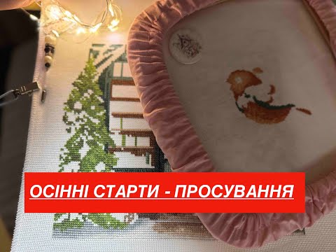 Embroidery Cozy Bookstore Bird