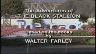 Adventures Of The Black Stallion S1E13 Part 1.Wmv