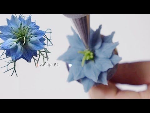 <strong>니겔라</strong> 꽃 파이핑 쉬운방법 Nigella flower piping techniques