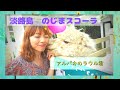 Meet Alpaca in Awaji island 淡路島にアルパカに会いに行こう!