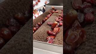 Dates Washing Processing Line #machine