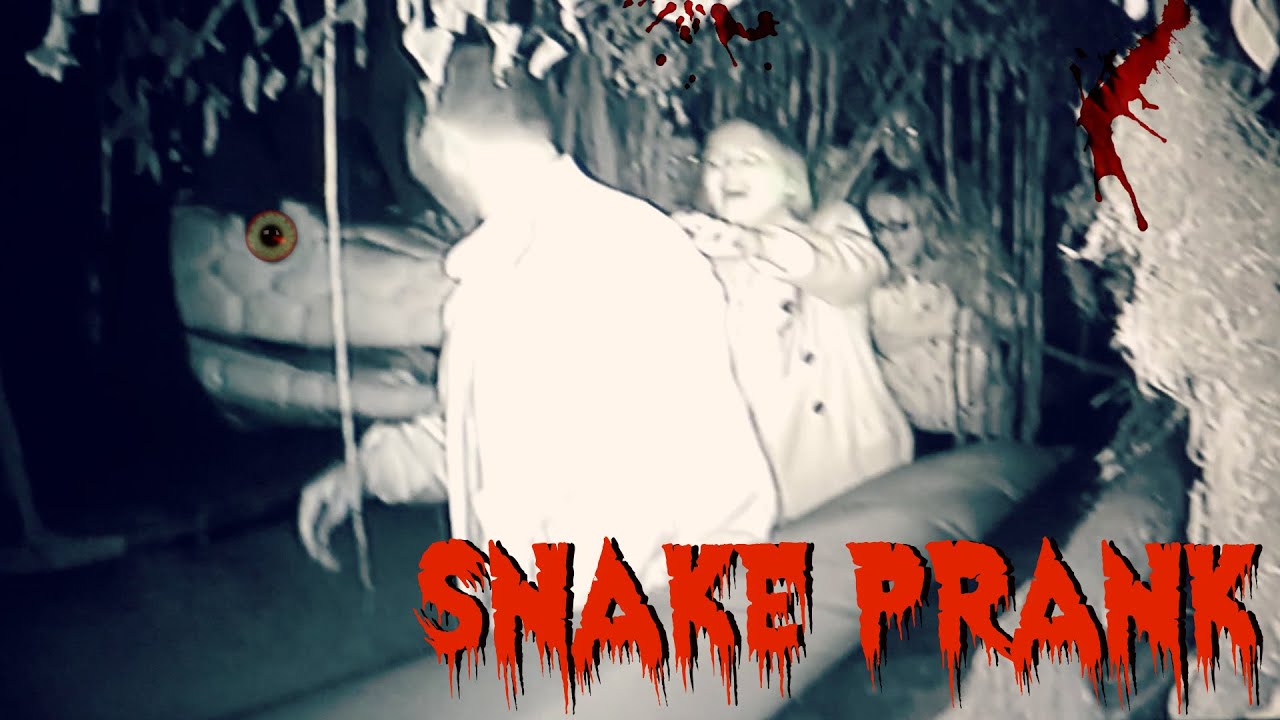 Halloween Snake Prank FAIL