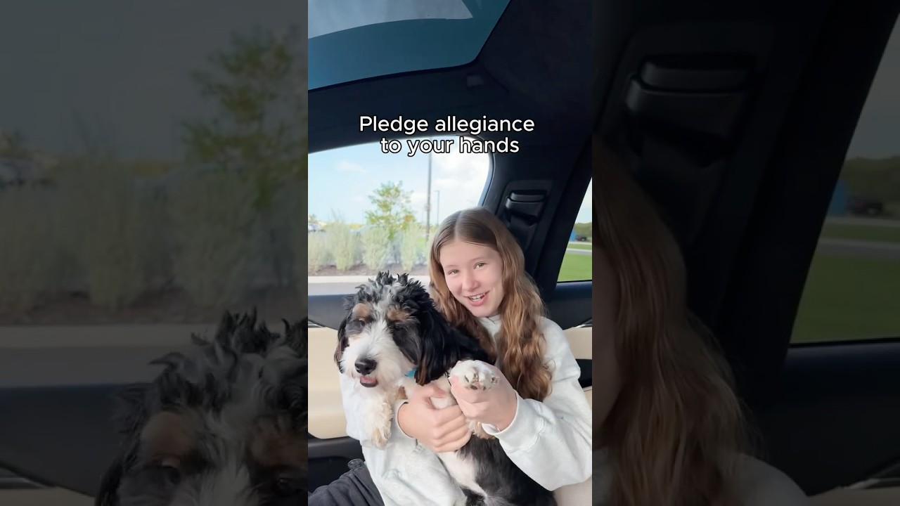 Through land, sea, and sky — the vibe 💫