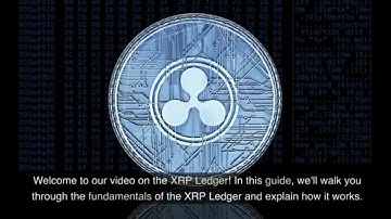 XRP Ledger Explained: A Beginner