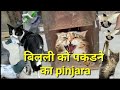 billi pakdane ka pinjra