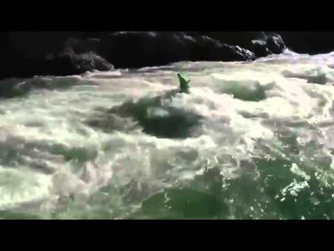 カヌーの館・2015・予告