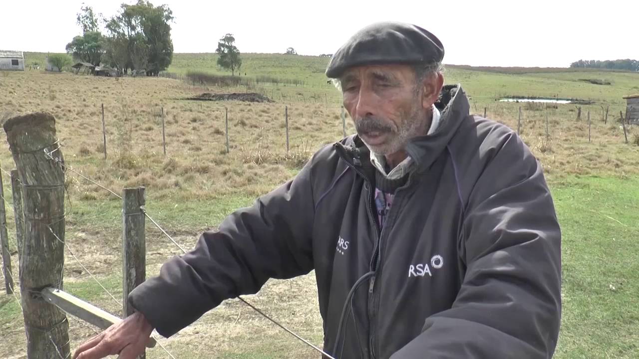 Rincón de la laguna - Departamento de Tacuarembó