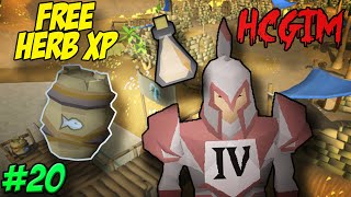 The hidden power of the Fish barrel [HCGIM RANK 1]