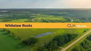 CLHbid.com - Whitelaw Roots