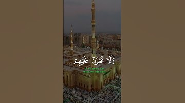سورة النحل #اكسبلور #دويتو #الرحمن #قران_كريم #duet #راحة_نفسية #حالات_واتس #تيك_توك #لايك