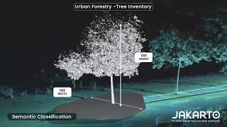Urban Forestry - Tree Inventory