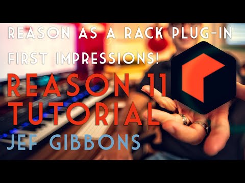 Reason Rack: Reason 11 in a Daw-first impressions!