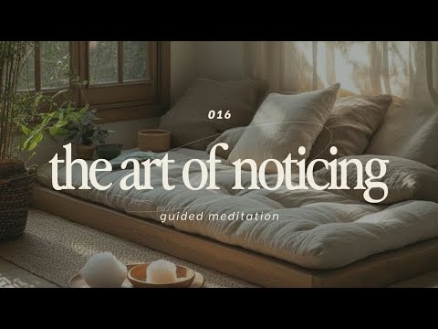 20-Minute Love Meditation: The Art of Noticing & Showing
