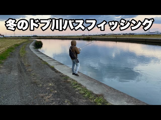 けいた様 I seriously enjoyed bass fishing in the winter ditch river. - YouTube