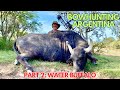 Argentina bowhunting adventure part 2 water buffalo with a trifecta broadhead