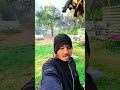 365/07🙏🌄 #diaryfarming #minivlog Vishwakarma dairy farm #shorts #dely #vlogging #new  #diary #farm🎥👍