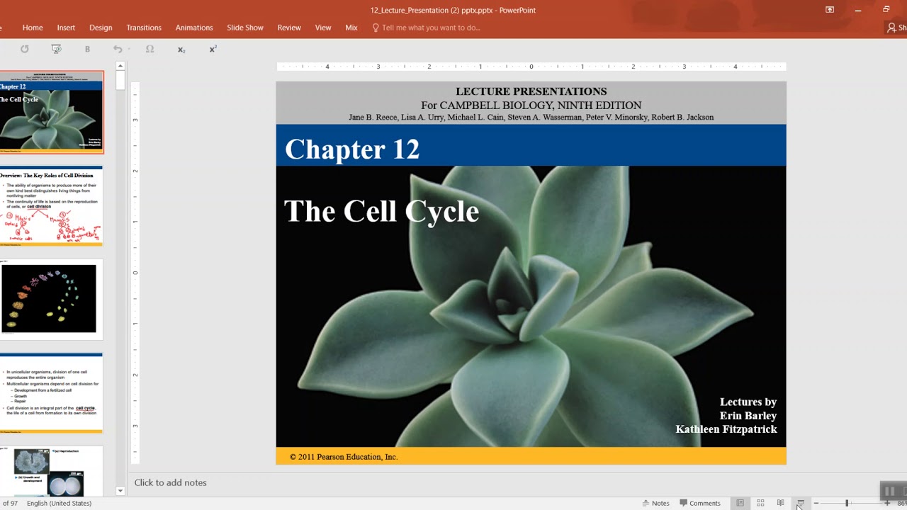 biology chapter 12 mitosis part 1