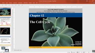 biology chapter 12 mitosis part 1