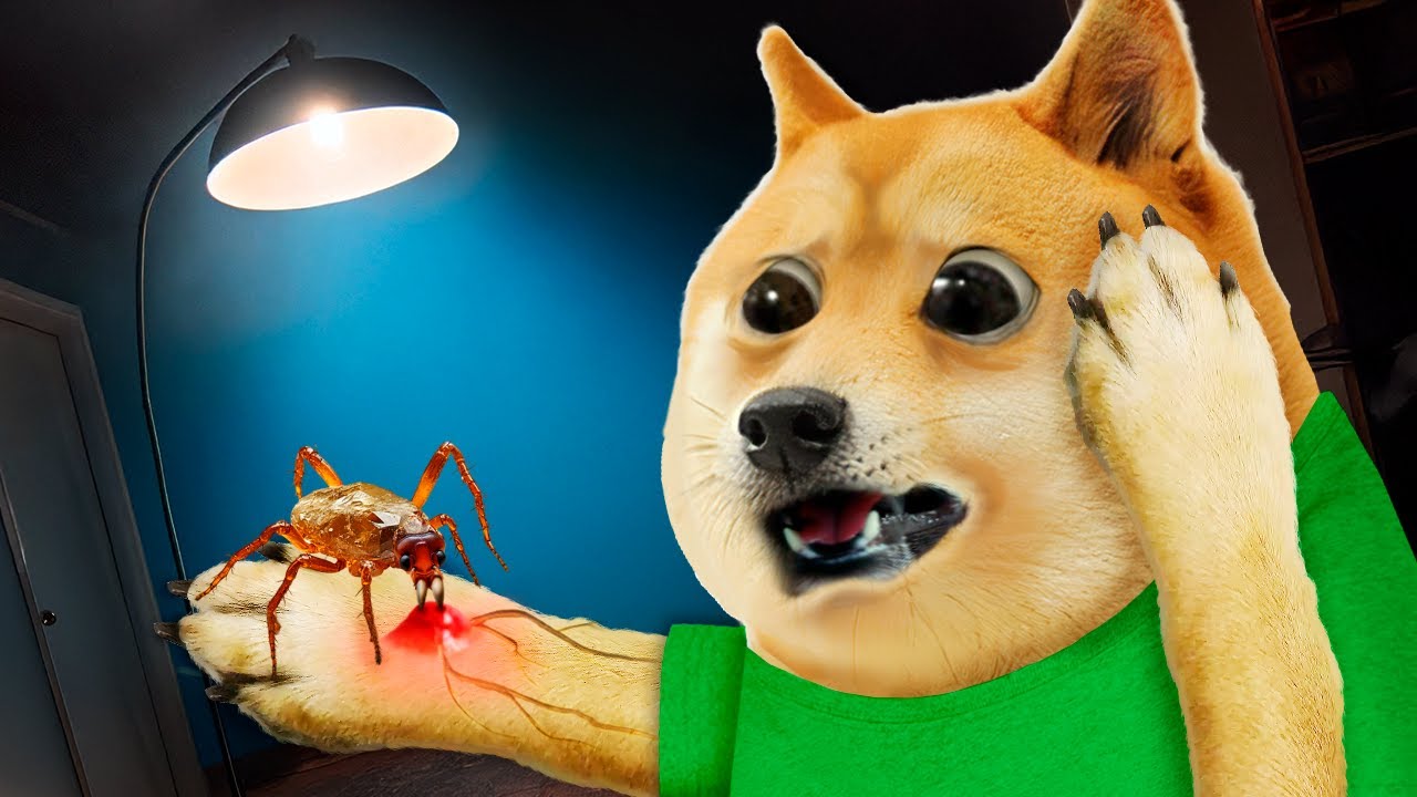 Я превратился в насекомое 🐛😱