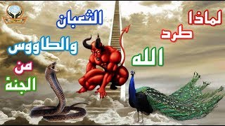 لماذا طرد الله تعالى الثعبان وطائر الطاووس من الجنة سبحان الله؟