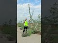 ٥ أسرار لنمو غابة الكويت الي من خلالها حصلنا على اعلا نتائج في اقل تكاليف kuwait_forest mp3