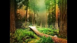 Paul Mauriat - Isadora