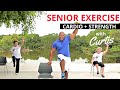 Senior fitness strength training  cardio core exercises for seniors  balance workout for seniors