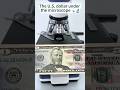 surprising view US dollar under a microscope 😱🔬 #shorts #shockingfacts #microscope #dollar #fun