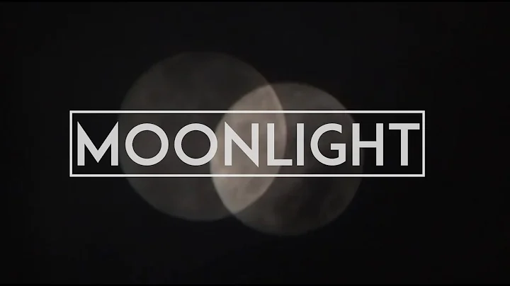 MEADOWS - MOONLIGHT (OFFICIAL VIDEO)