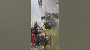 QD560 5-axis CNC tool grinding machine - Product sampling#machine